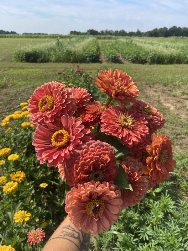 Bouquet CSA