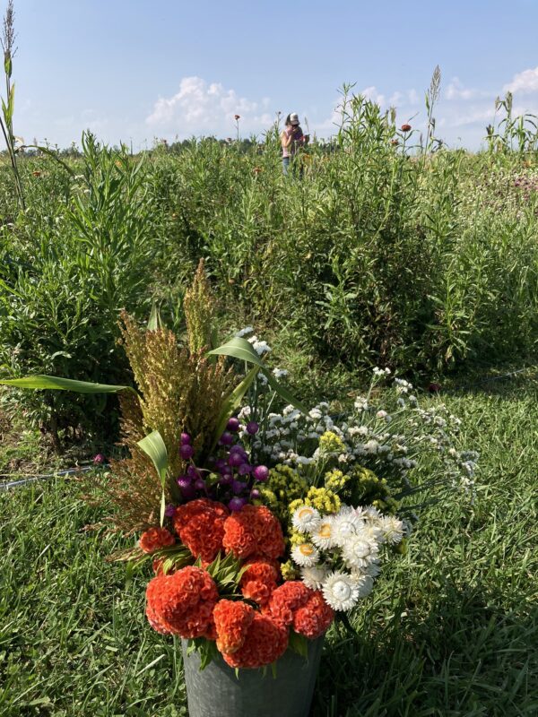 Fall Bouquet CSA