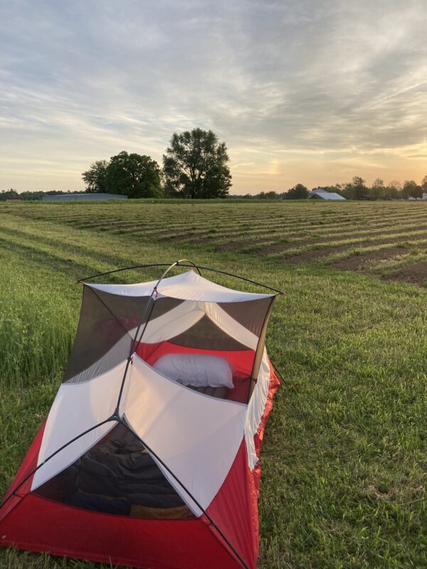 Camping at Broomfest