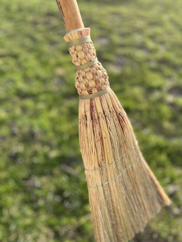 Tricolor Goldie Broom (Fundraiser!)