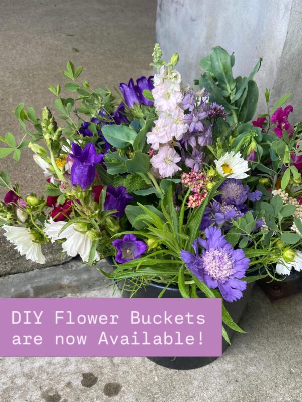 Bulk Flower Bucket