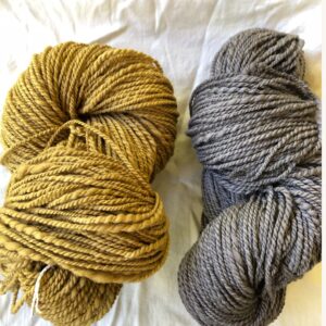 Natural Dye Workshop, Oct 25th